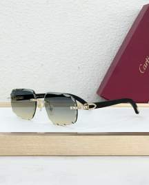 Picture of Cartier Sunglasses _SKUfw77796299fw